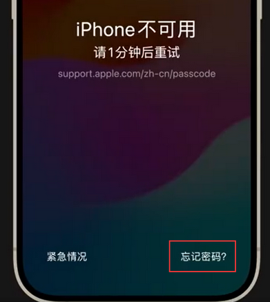 临西苹果手机密码维修分享iPhone忘记了刚设置的密码 