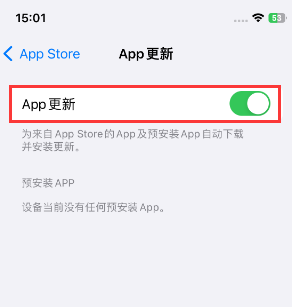 临西苹果15维修中心如何让iPhone15APP自动更新
