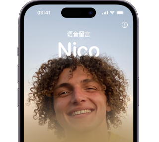临西苹果15服务站分享iPhone15实时语音留言开启方法 