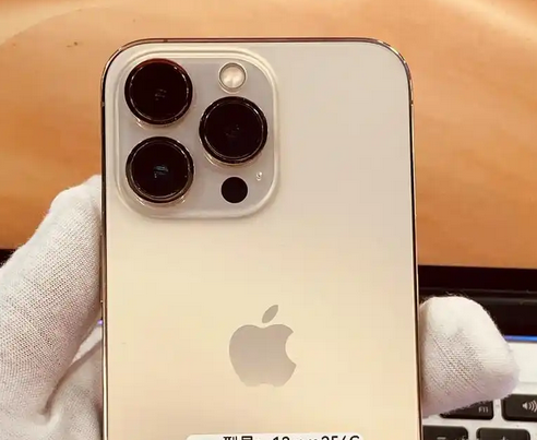 临西苹果13维修中心分享如何在iPhone13上设置动态壁纸 临西苹果13维修中心分享如何在iPhone13上设置动态壁纸